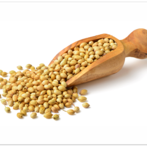 Coriander Seed