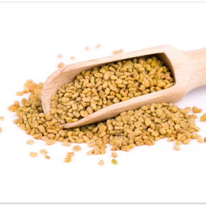 Fenugreek Seed