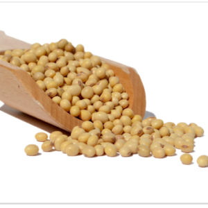 Soyabean