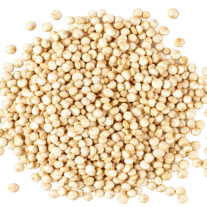 Quinoa Seed White