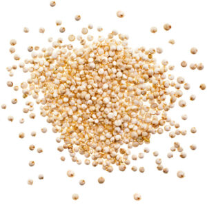 Quinoa Seed White