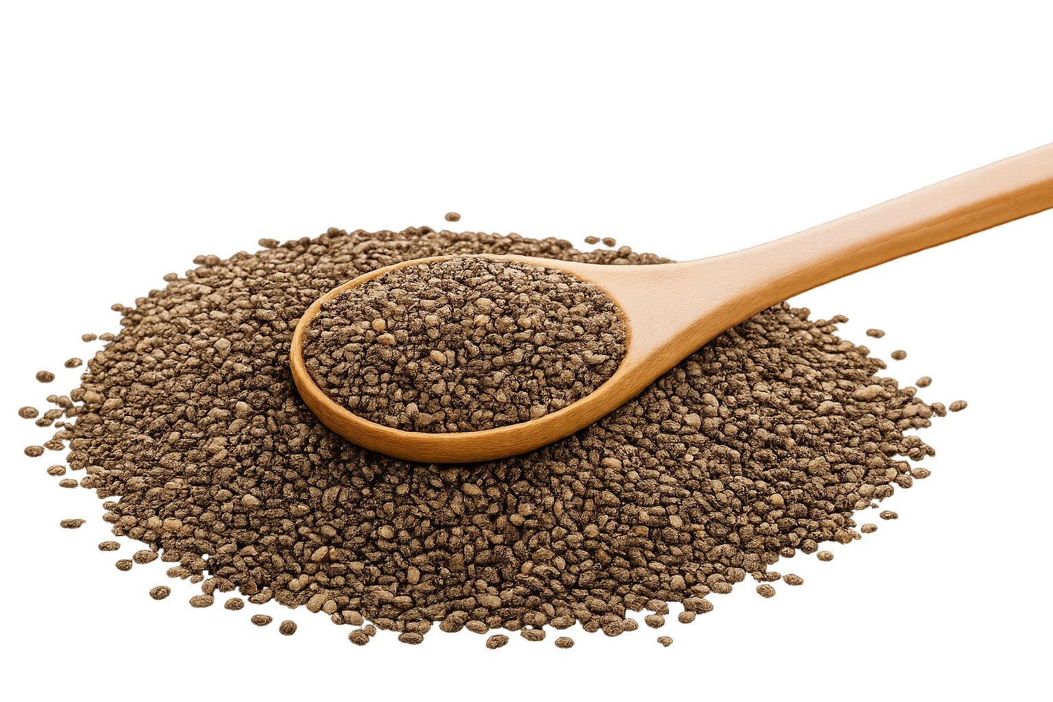 ChatGPT Image Jan 27, 2026, 05_37_01 PM