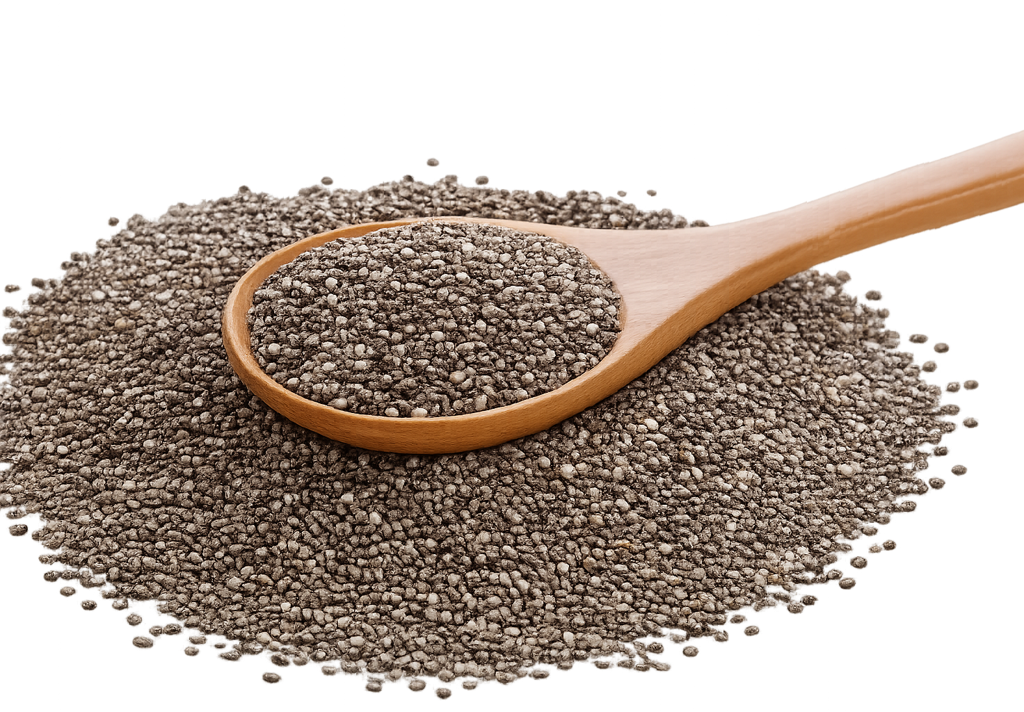 ChatGPT Image Feb 9, 2026, 02_47_59 PM