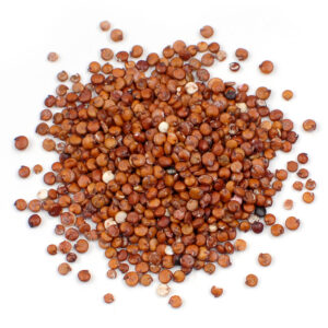 Quinoa Seed Red