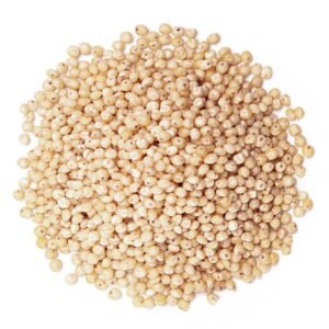 Sorghum (Jowar)